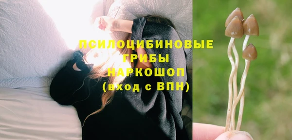 Альфа ПВП Кулебаки