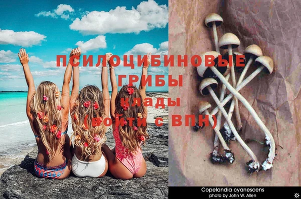 Альфа ПВП Кулебаки